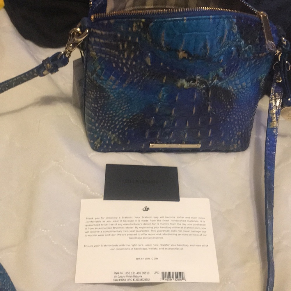 Brahmin - Picture 5 of 7